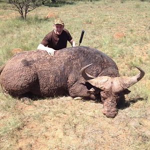 South Africa Hunt Cape Buffalo