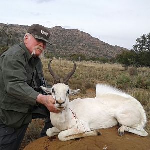 White Springbok Hunt South Africa