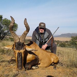 Hunting Red Hartebeest in South Africa