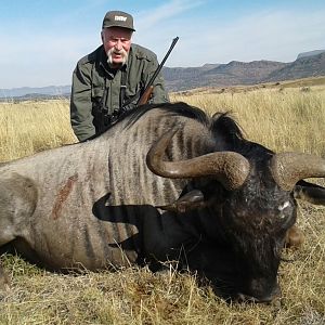 South Africa Hunt Blue Wildebeest