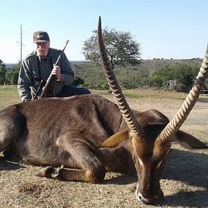 Waterbuck Hunting South Africa