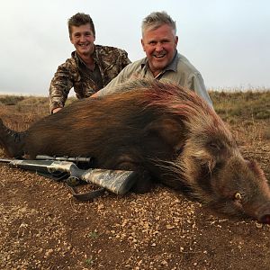 South Africa Hunting Bushpig