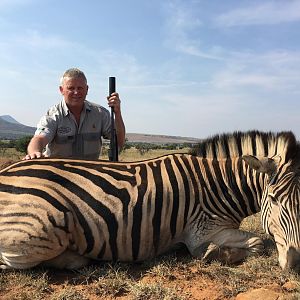 Burchell's Plain Zebra Hunt South Africa