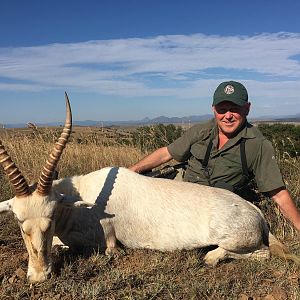 Hunting White Blesbok in South Africa