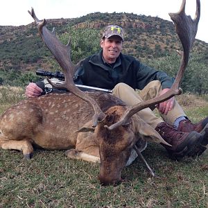 Fallow Deer Hunting South Africa