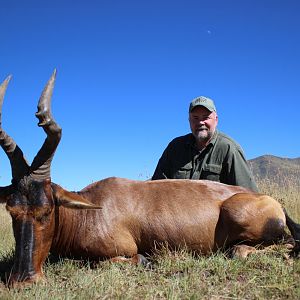 Hunt Red Hartebeest in South Africa