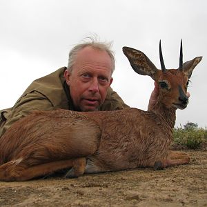 Steenbok Hunting South Africa