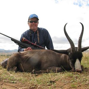 Black Springbok Hunting South Africa