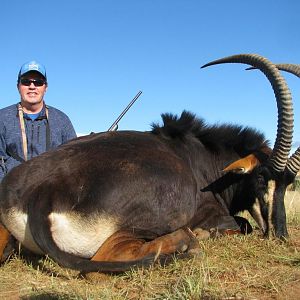 Hunting Sable Antelope in South Africa