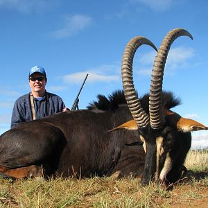 South Africa Hunt Sable Antelope