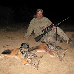 Hunt Jackal in South Africa