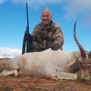 Hunt White Blesbok in South Africa