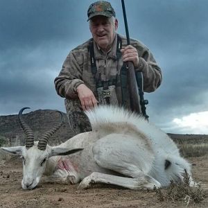 South Africa Hunting White Springbok