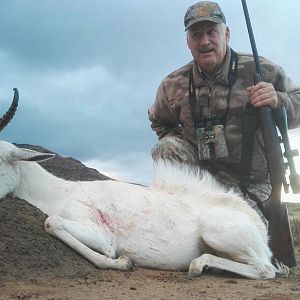 White Springbok Hunt South Africa