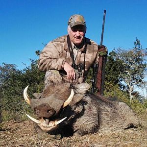 South Africa Hunt Warthog