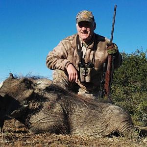 Hunt Warthog in South Africa