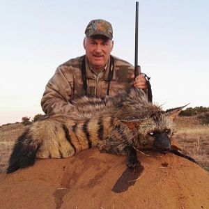 Aardwolf Hunt South Africa