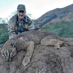 Caracal Hunting South Africa