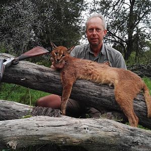 Caracal Hunt South Africa