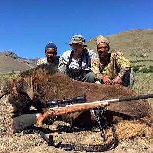 Black Wildebeest Hunting South Africa