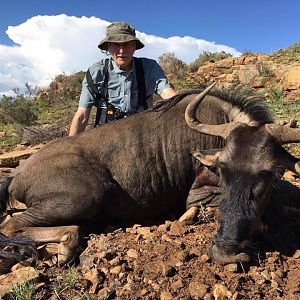 Hunt Blue Wildebeest in South Africa