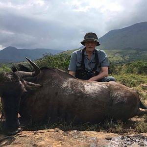 South Africa Hunting Blue Wildebeest