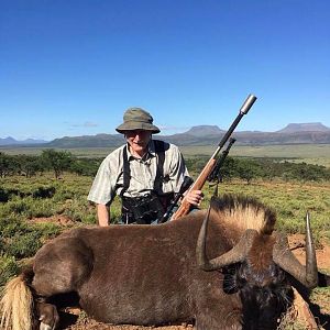 Black Wildebeest Hunt South Africa