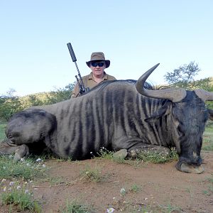 Hunt Blue Wildebeest in South Africa