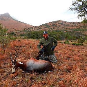 Hunting Blesbok in South Africa