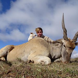 Eland Hunting South Africa