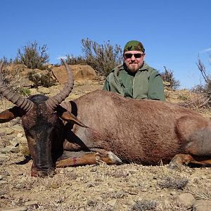 Hunt Tsessebe in South Africa