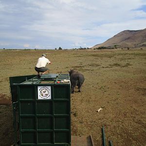 Rhino Conservation South Africa