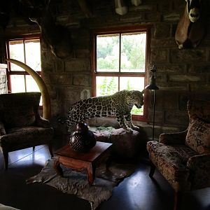 South Africa Hunting Lodge