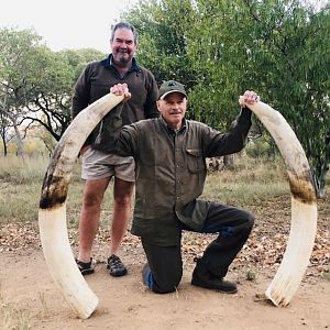 Media 'Hunting Elephant in Zimbabwe' in category 'Hunting Africa'