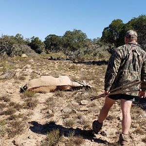 Hunting Eland in South Africa