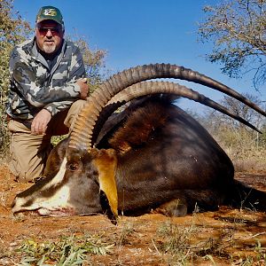 Hunt Sable Antelope in South Africa