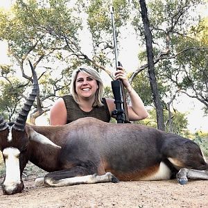 Blesbok Hunting South Africa