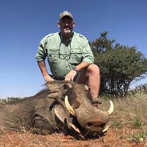 Hunt Warthog in South Africa