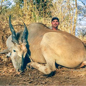 Eland: In Zimbabwe