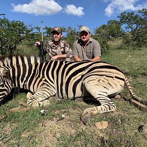 Hunt Burchell's Plain Zebra in South Africa