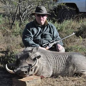 South Africa Hunting Warthog