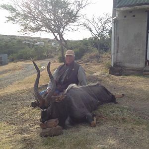 Nyala Hunt South Africa