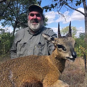 Hunting Klipspringer in Zimbabwe