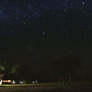 View of the stars from the Lodge