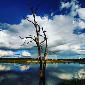 Zimbabwe Landscape