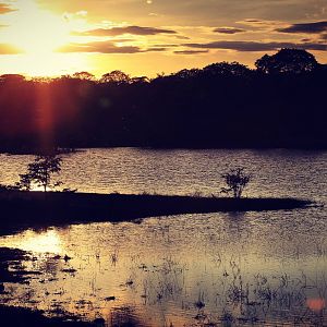 Sunset in Zimbabwe