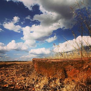 Zimbabwe Landscape