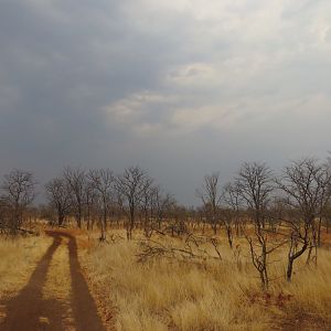 Hunting Area Zimbabwe