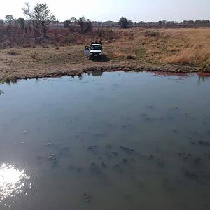 Zimbabwe Hunting Area