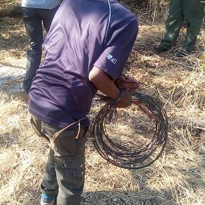 Aniti-poaching Patrol